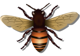 Včelaření v Kosatci